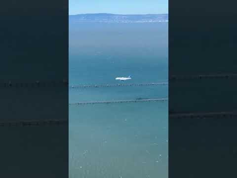 United Airlines A319 Landing 🛫✈️🛬 At San Francisco Airport Usa 🇺🇲