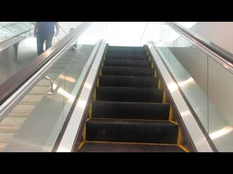 (unknown Brand) Escalators To Gates G7 G8 At San Francisco International Airport – San Francisco Ca