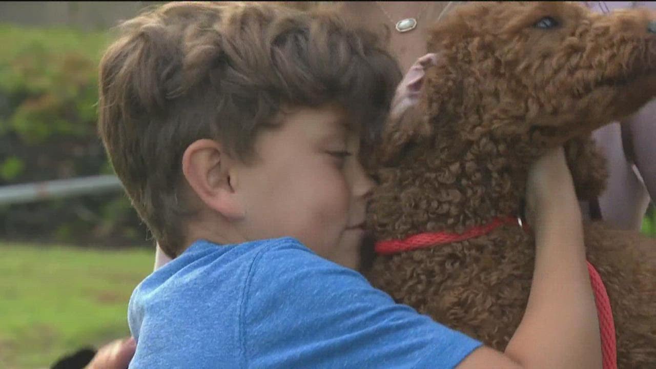 ‘we’re Very Happy’ | Cbs 8 Reunites Stolen Goldendoodle Puppy Chancho With Family From Utah