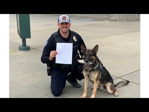 West Sacramento Police K 9 Association Plans Fundraiser For Retired Police Dogs