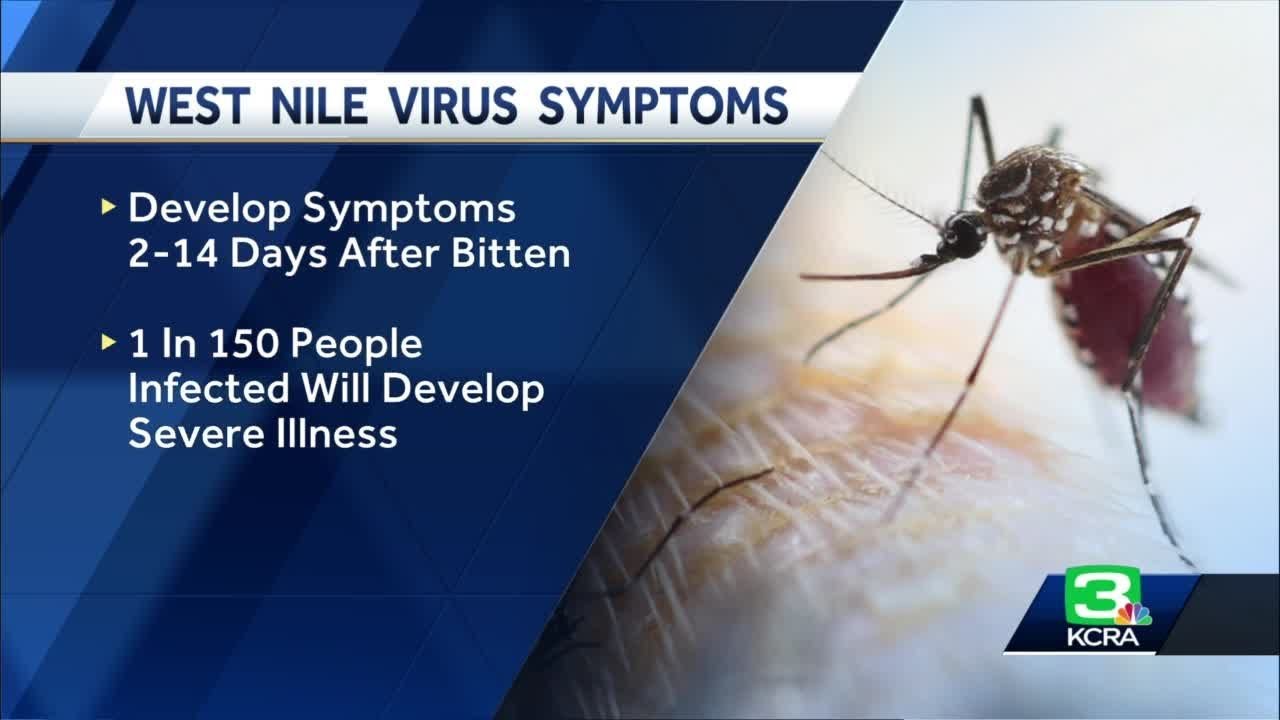 Yolo County’s 1st Human Case Of West Nile Virus Is Detected For 2022