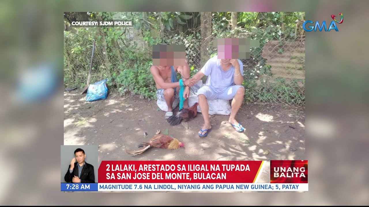 2 Lalaki, Arestado Sa Iligal Na Tupada Sa San Jose Del Monte, Bulacan | Ub