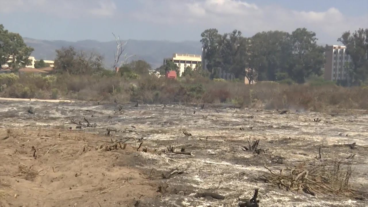 A Fire At Ucsb Was Part Of A Vegetation Plan