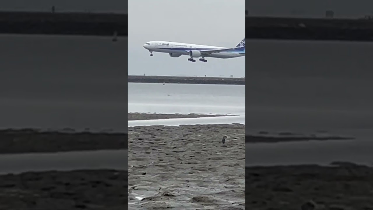 Ana 777 Landing At Sfo