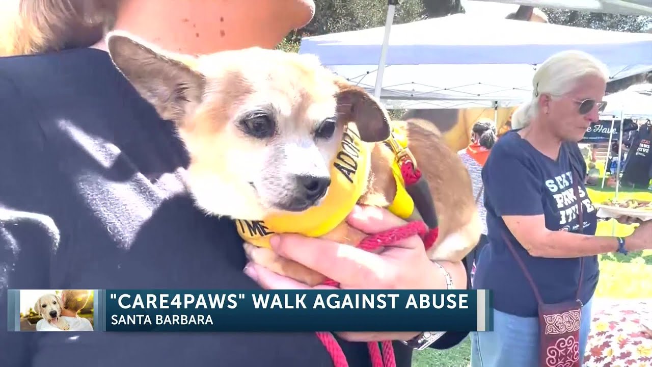 Animal Lovers Stand Up To Animal Cruelty And Domestic Violence In First Ever “walk Against …