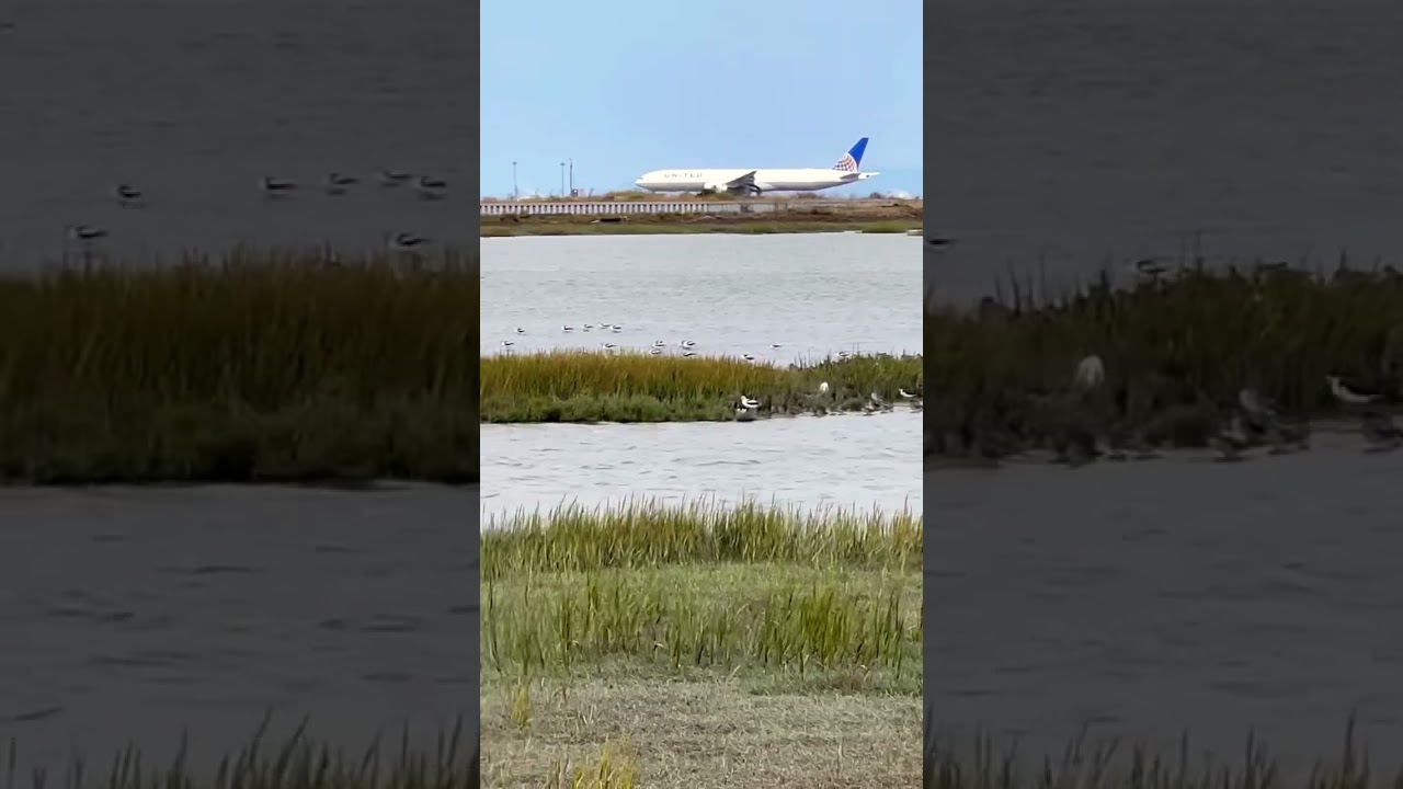 Beautiful Take Off Boeing 777 From Sfo