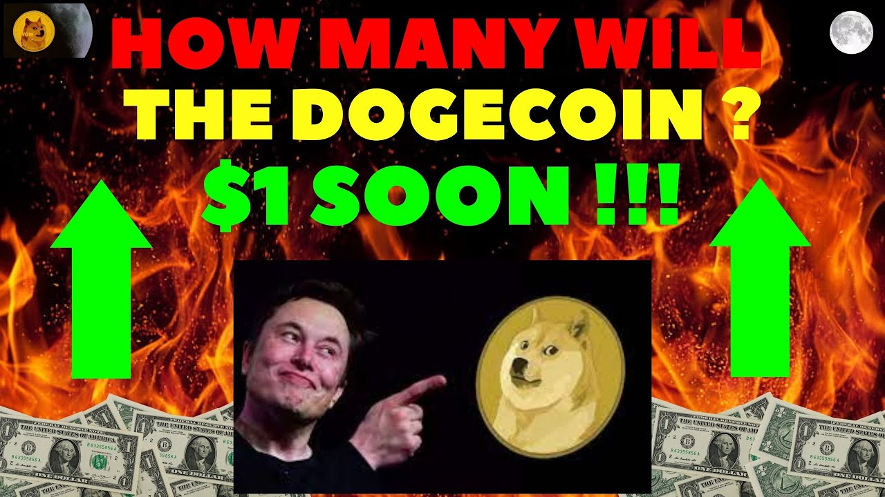 Dogecoin News Today🚨| Elon Musk Is Back ( Spacex ) !!!!!!!!!|🚨dogecoin Price Prediction