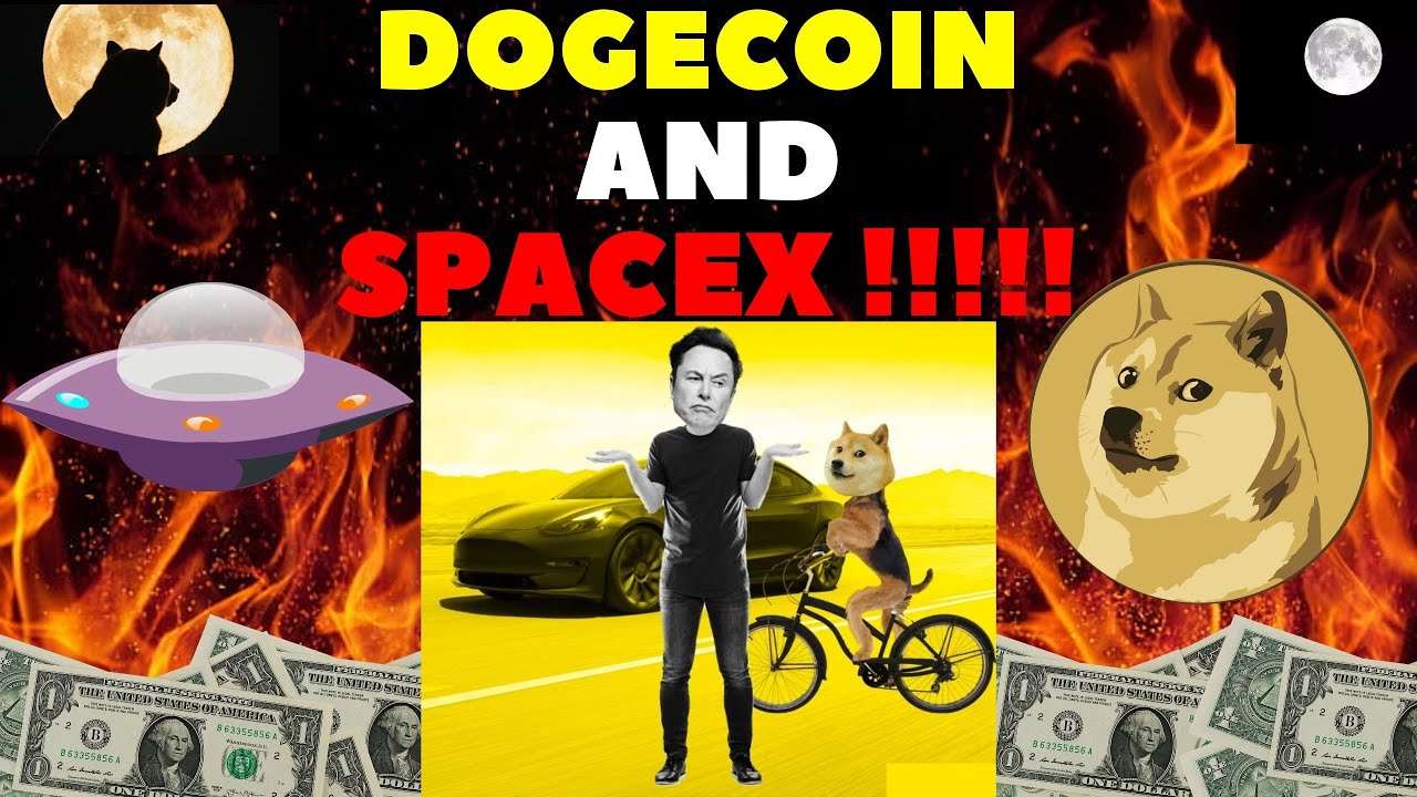 Dogecoin News Today🚨| Ready To Flight With Dogecoin Spacex 🚨dogecoin Price Prediction Cryptocurrency