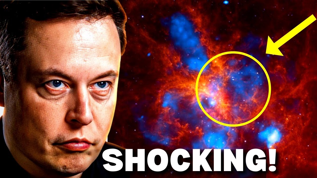 Elon Musk Just Leaked Nasa’s Discovery Of A Space Tarantula!