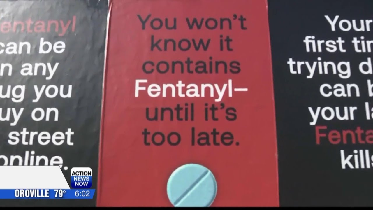 Fentanyl On Campus