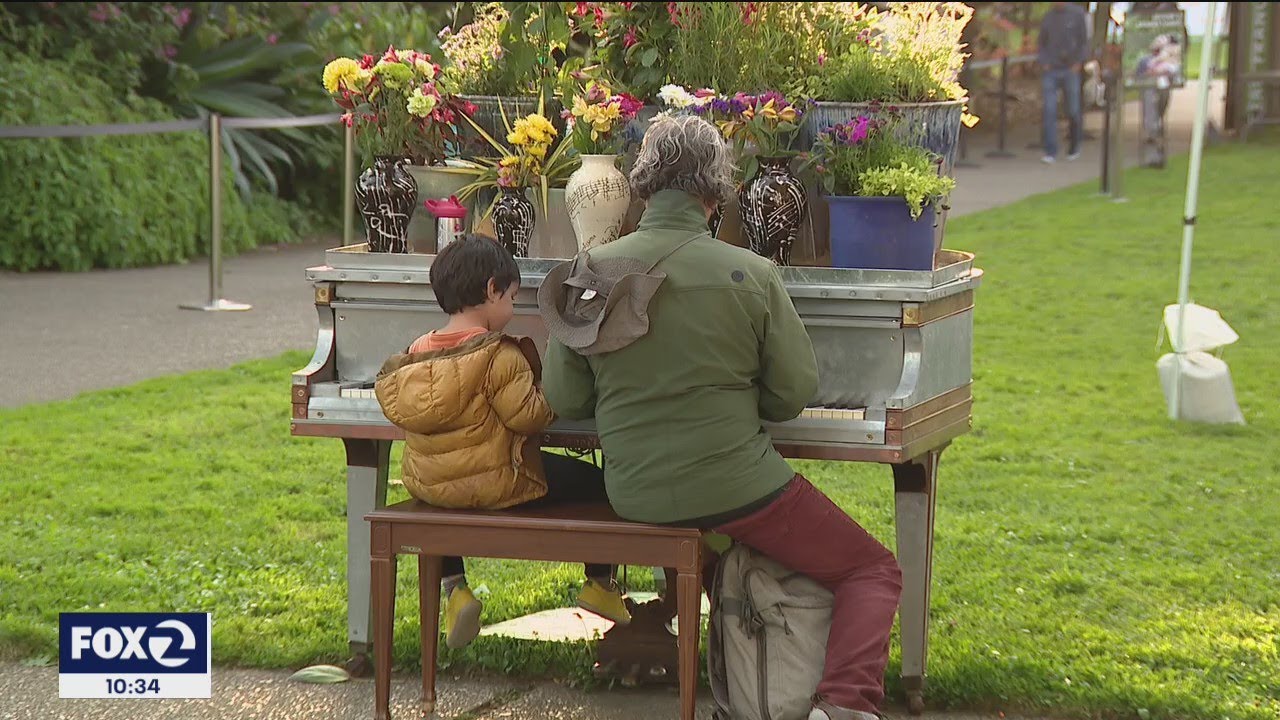 Flower Piano Enchants Sf’s Botanical Garden With Melodies And Memories