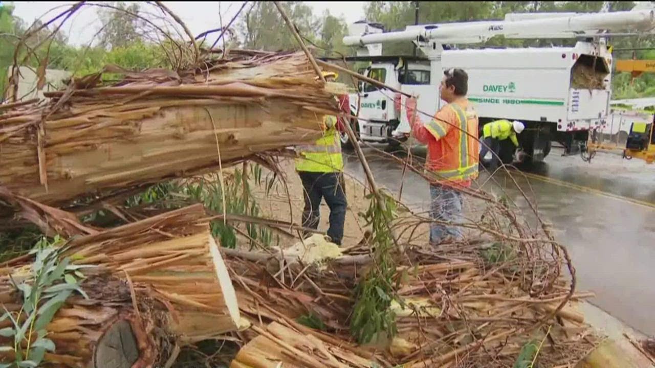 Heavy Rain Soaks San Diego County Roads, High Winds Knock Down Trees