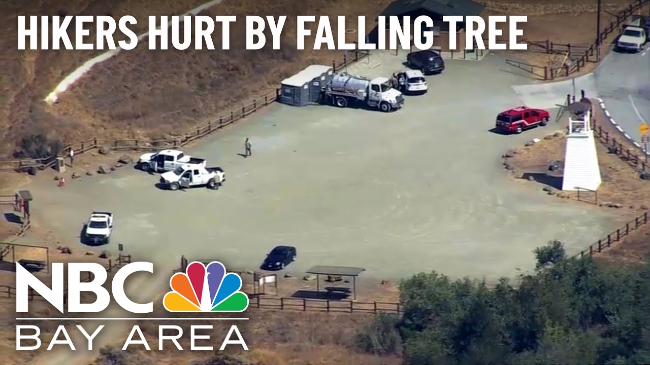 Hikers Hurt By Falling Tree In Santa Clara County Park