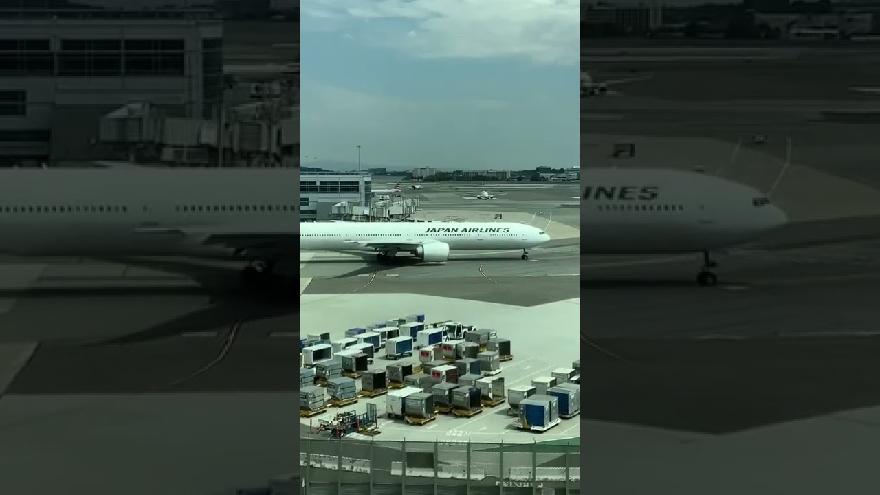 Japan Airlines Taxiing At Sfo