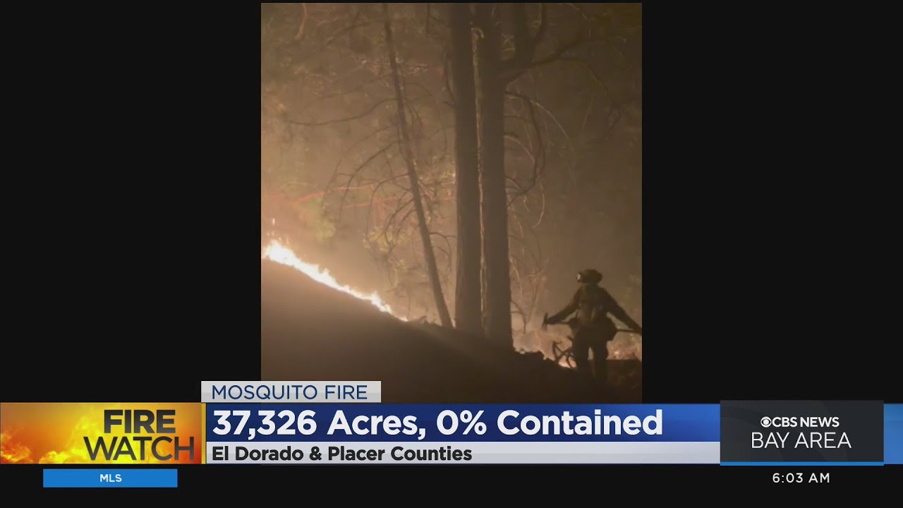 Mosquito Fire Grows To Over 37,000 Acres As Crews Continue Battling Blaze