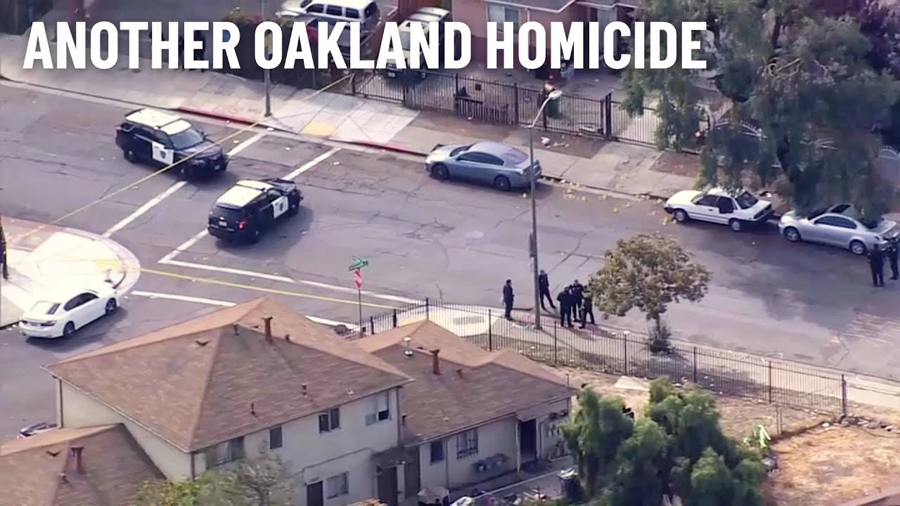 oakland records 9 homicides in o