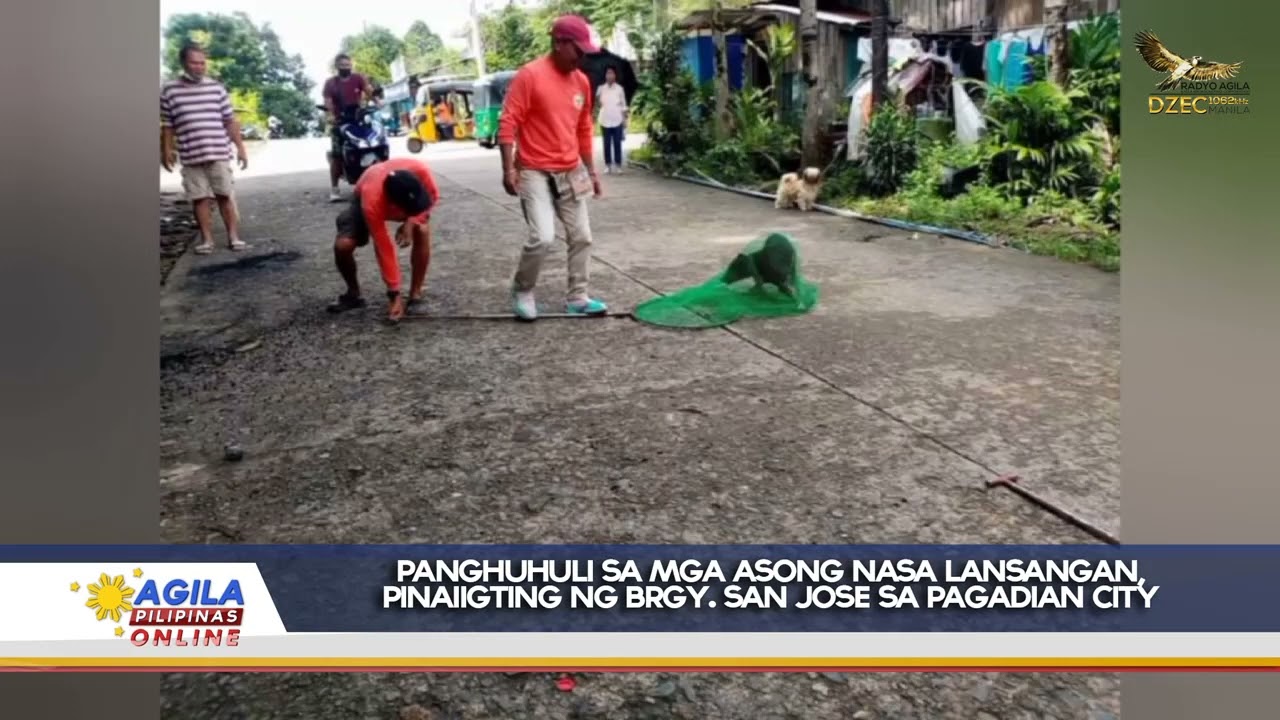 Panghuhuli sa mga asong nasa lansangan, pinaiigting ng Brgy. San Jose, Pagadian City 1 Panghuhuli Sa Mga Asong Nasa Lansangan, Pinaiigting Ng Brgy. San Jose, Pagadian City