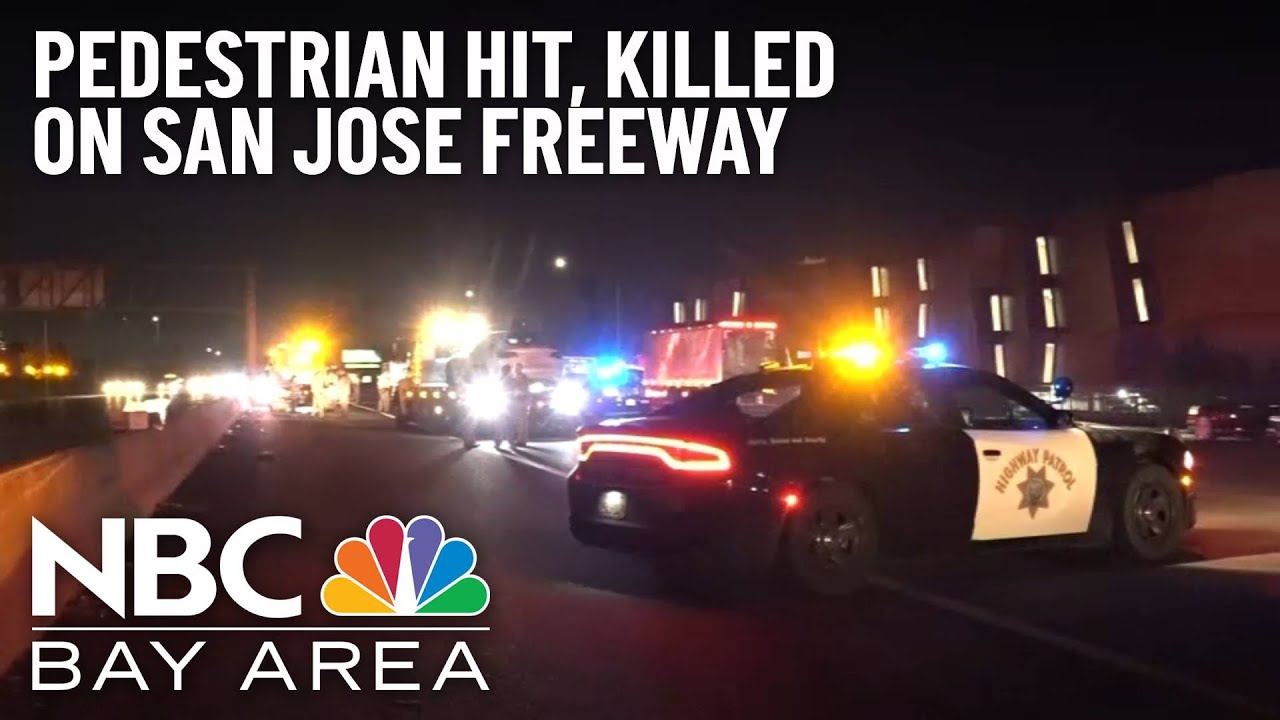 pedestrian struck and killed on
