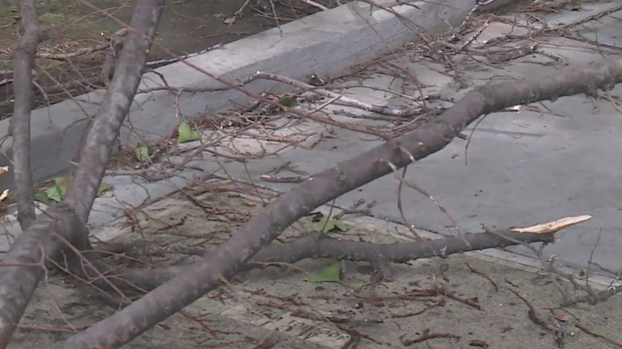 Rain Continued To Pour Down In Davis And Downtown Sacramento