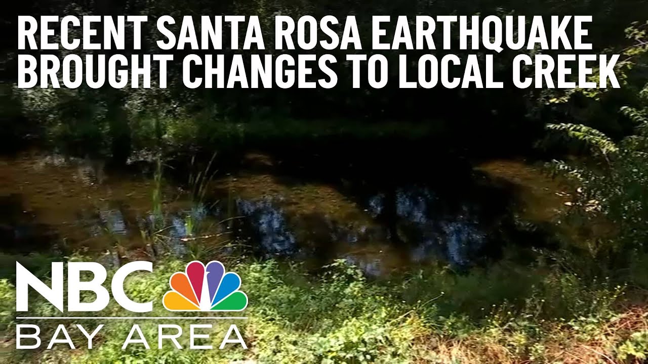 Recent Earthquake Impacts Creek In Santa Rosa