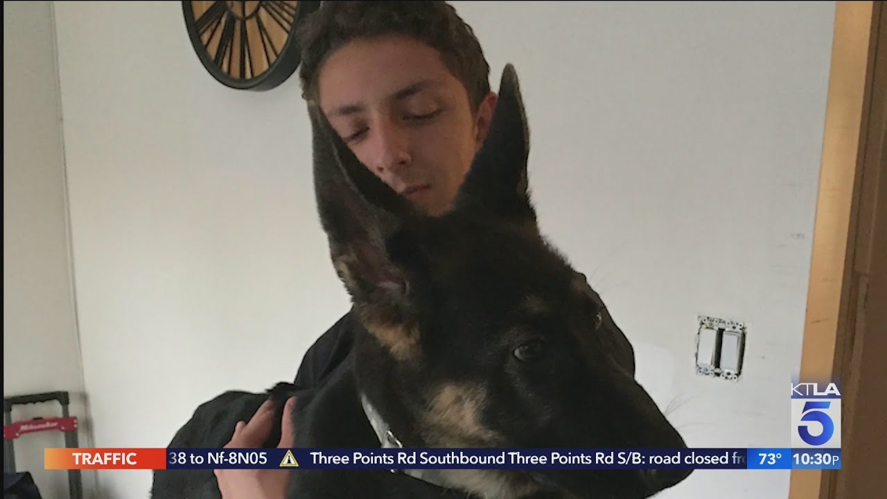 Reseda Family Fights To Keep L.a. Animal Services From Removing Son’s Emotional Support Animal