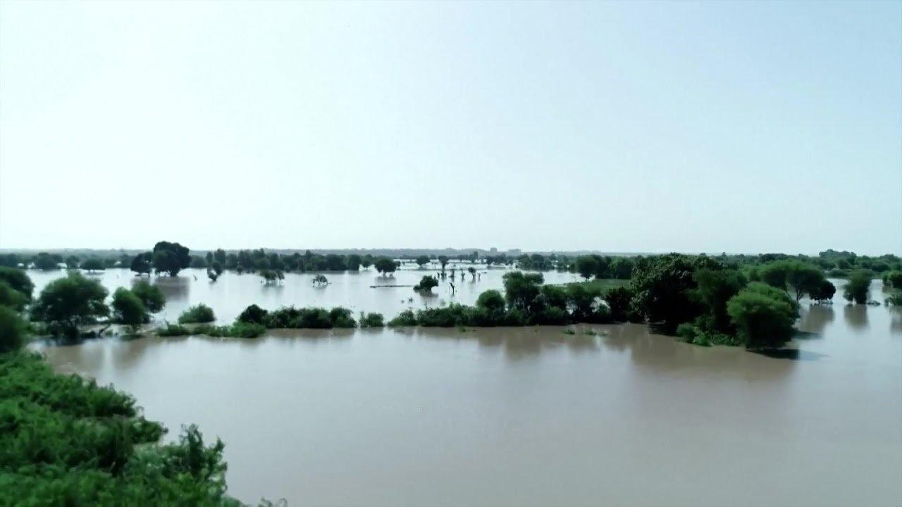 Shelterbox Usa Heads To Pakistan To Help Thousands Amid Massive Flood