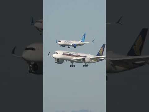 Singapore A350 And United 737 Max Parallel Landing At Sfo #shorts