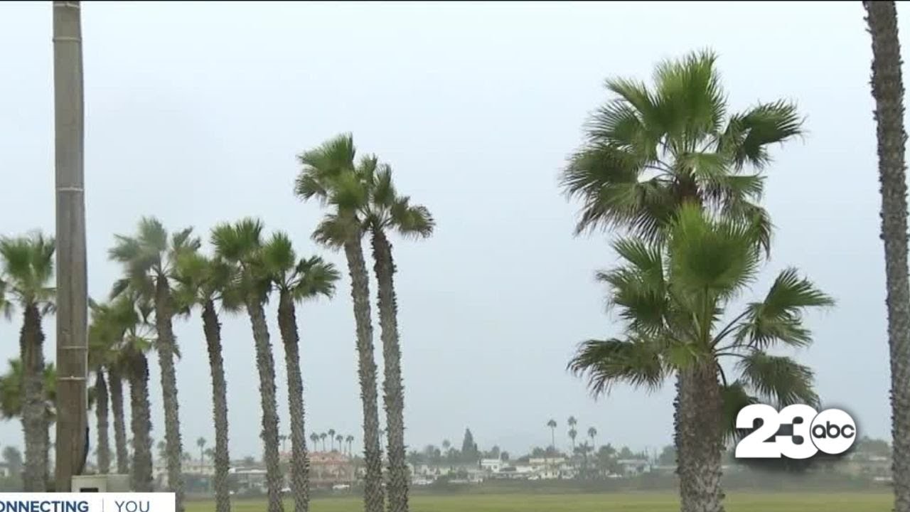 Tropical Storm Kay Hits San Diego