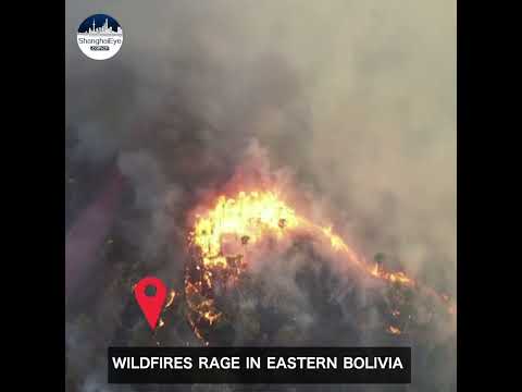 Wildfires Rage In Eastern Bolivia, 73% Of The Santa Cruz Department Is At Risk Now