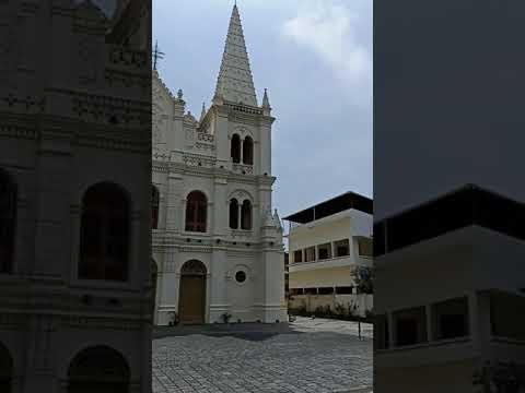 Santa Cruz Cathedral Basilica Fort Kochi | places to see in Fort Kochi| #santacruz #fortkochi #kochi 1 santa cruz cathedral basilica fo
