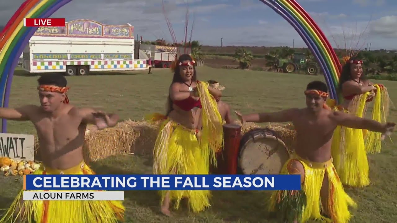 The 20th Annual Pumpkin Patch at Aloun Farms Pt.3 1 the 20th annual pumpkin patch at 2