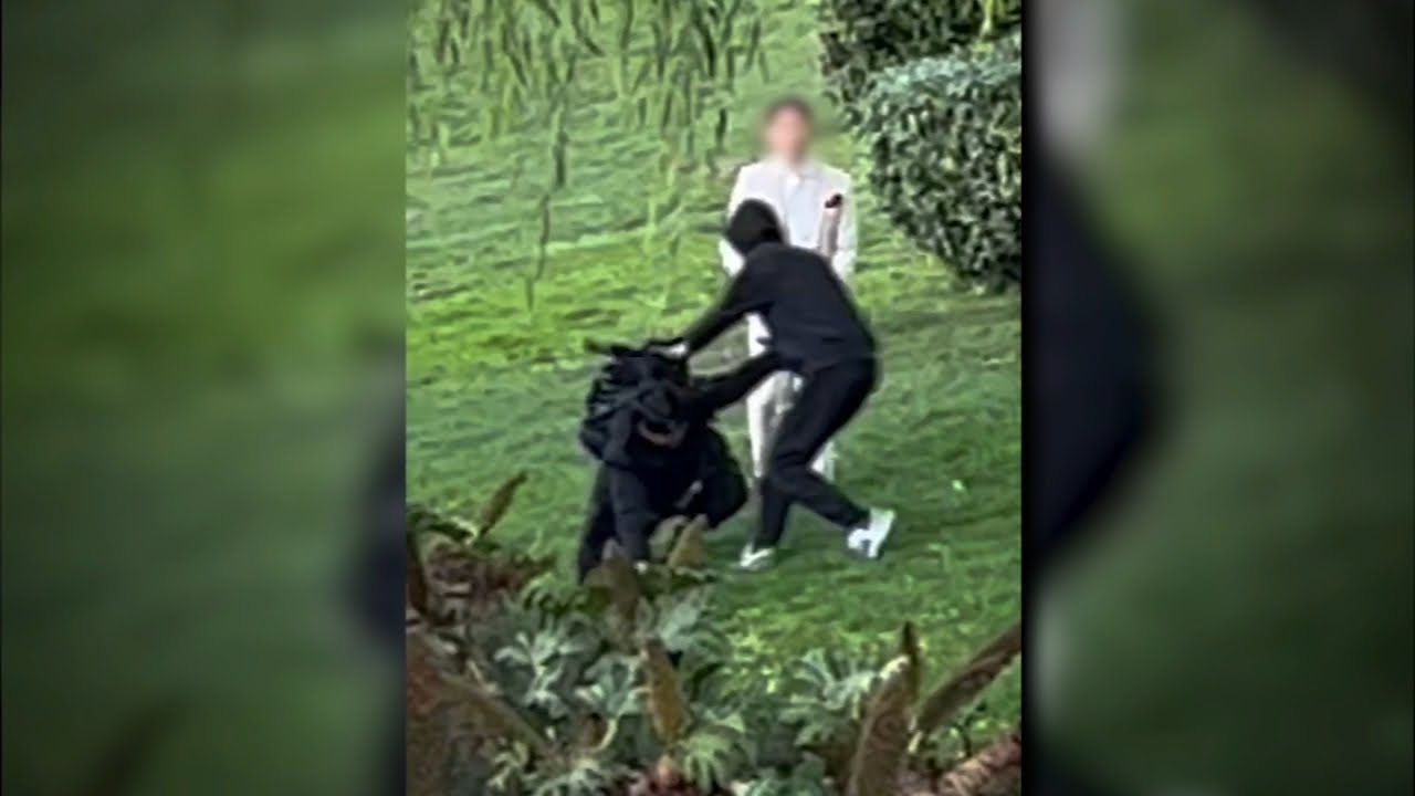 exclusive 2 photographers attack