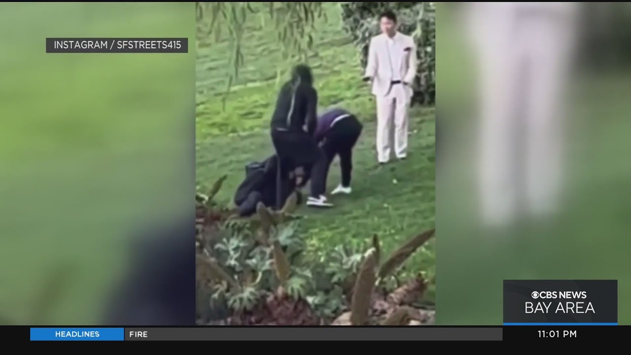 Neighbors fearful after attack on wedding photographer at Palace of Fine Arts 1 neighbors fearful after attack o
