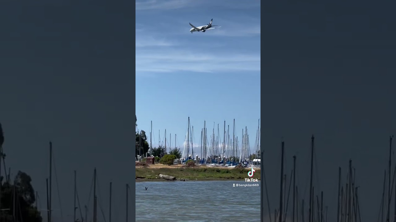 United Airlines #unitedairlines #airlines #airplane #airport #cayotepoint #sanfrancisco #viralshorts 1 united airlines unitedairlines a