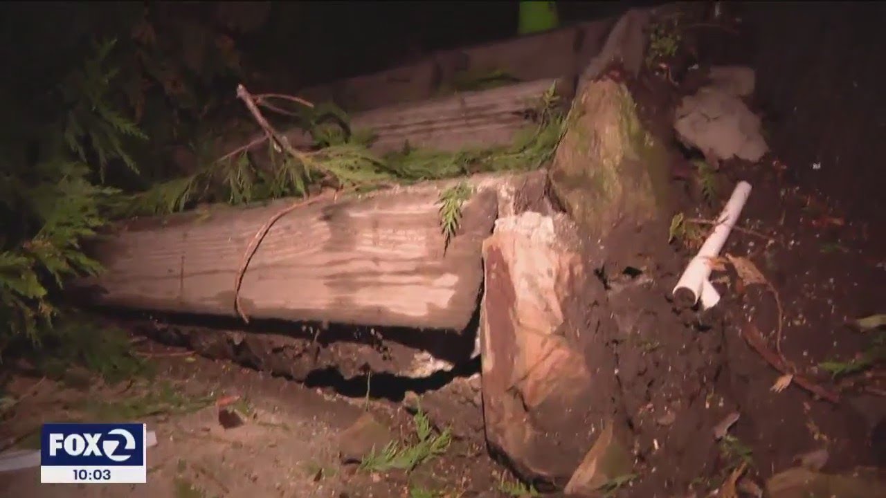crews clear trees threatening po