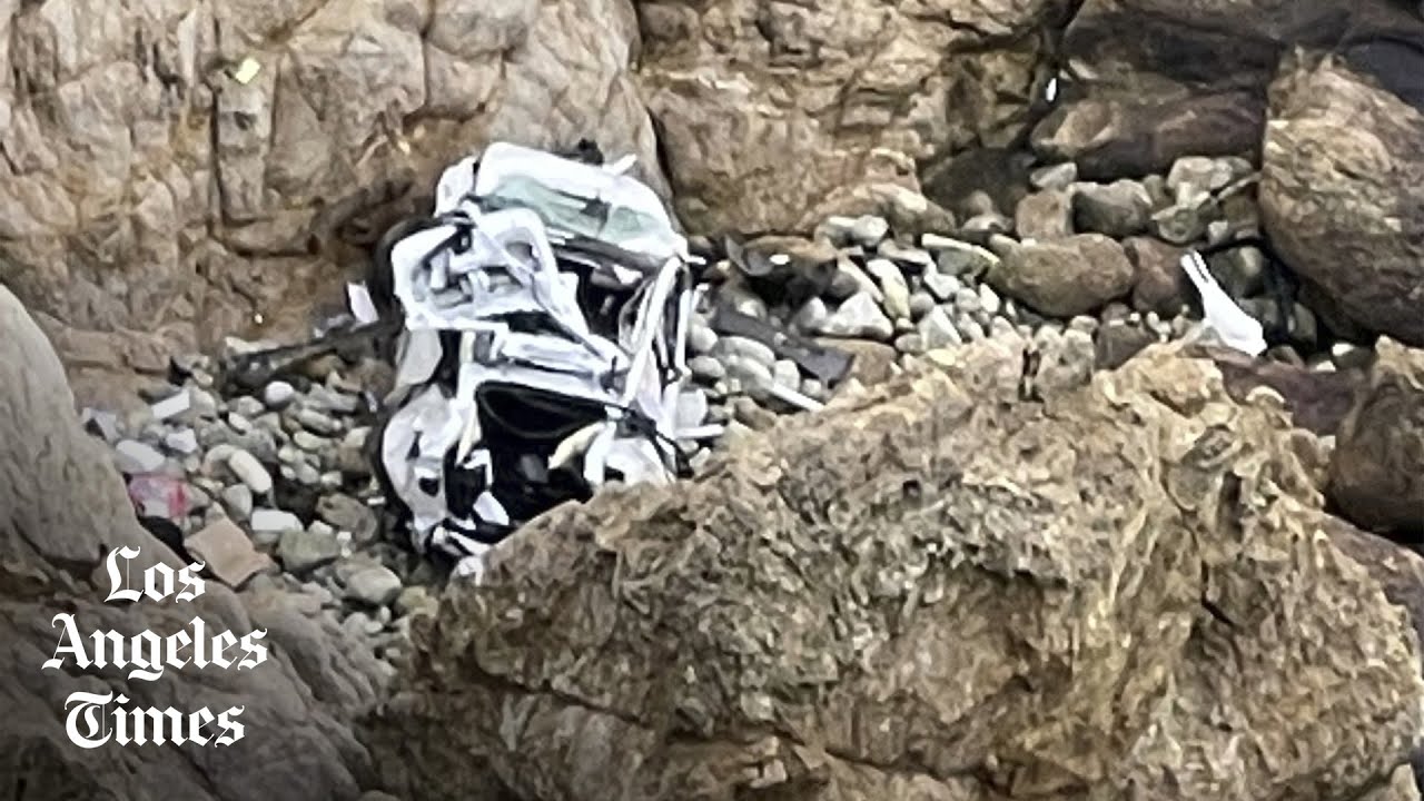 driver of tesla that plunged off