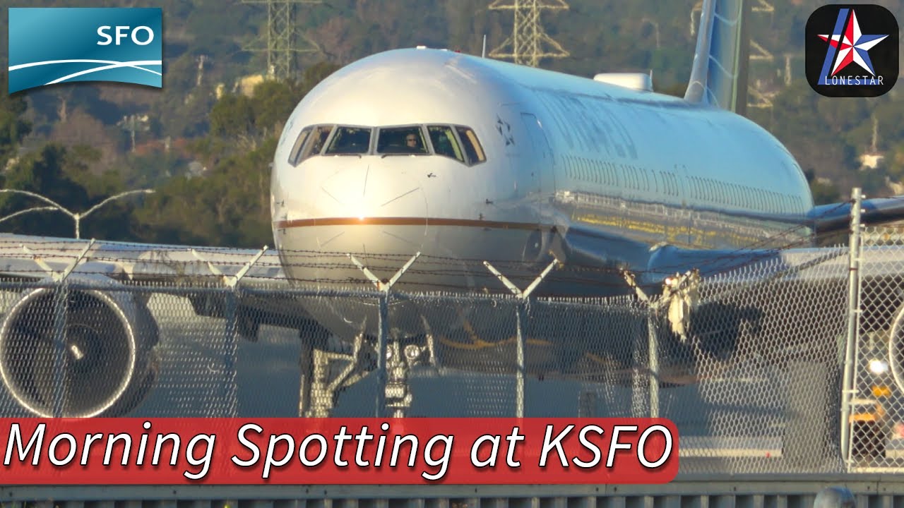 morning spotting from bayfront p
