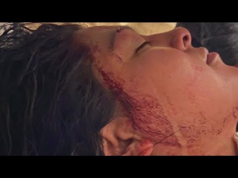 south gate woman brutally beaten