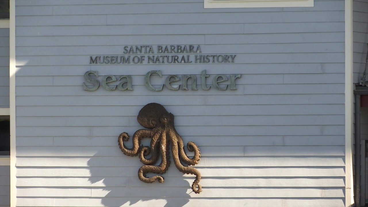 underwater parks festival brings