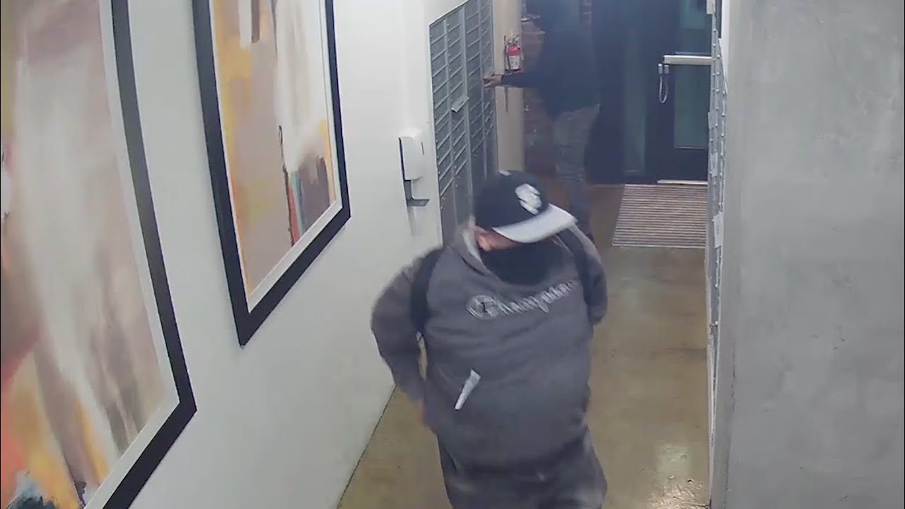 arrest of the month masked thiev