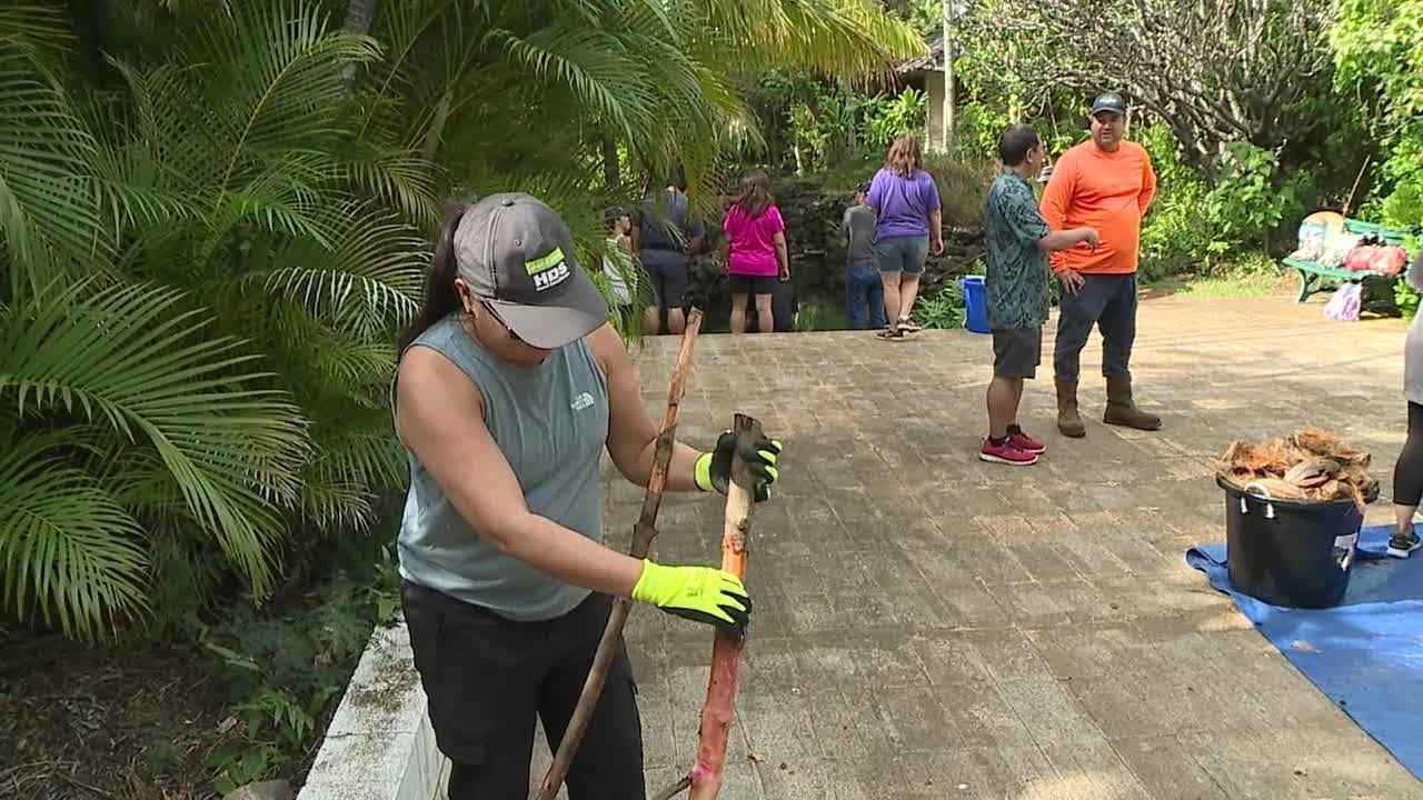 remarkable women diane paloma