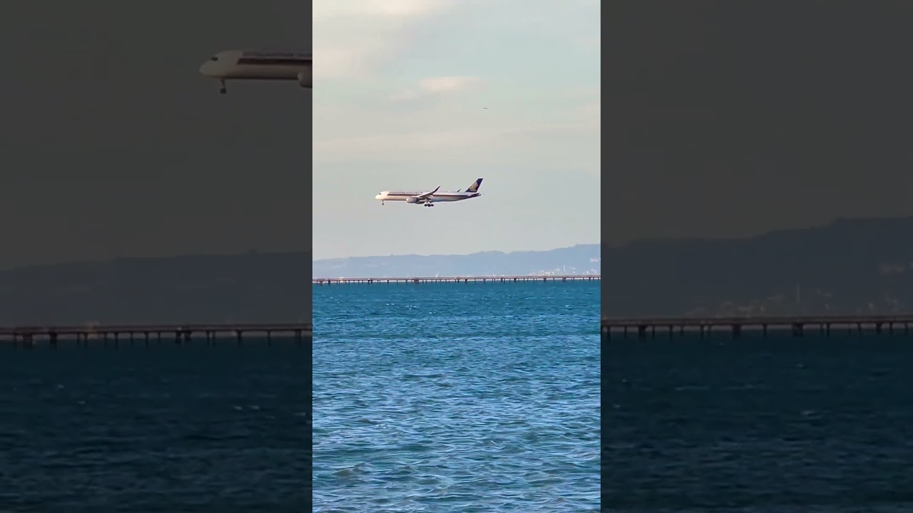 Airbus A 350 Of Singapore Airlines Landing At San Francisco International Airport￼