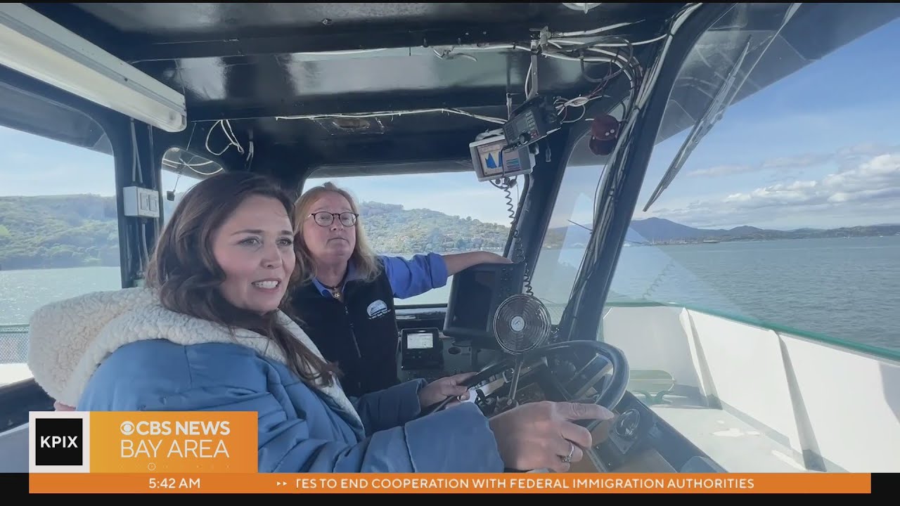 Angel Island-Tiburon ferry goes electric in hopes of preserving San Francisco Bay 1 angel island tiburon ferry goes