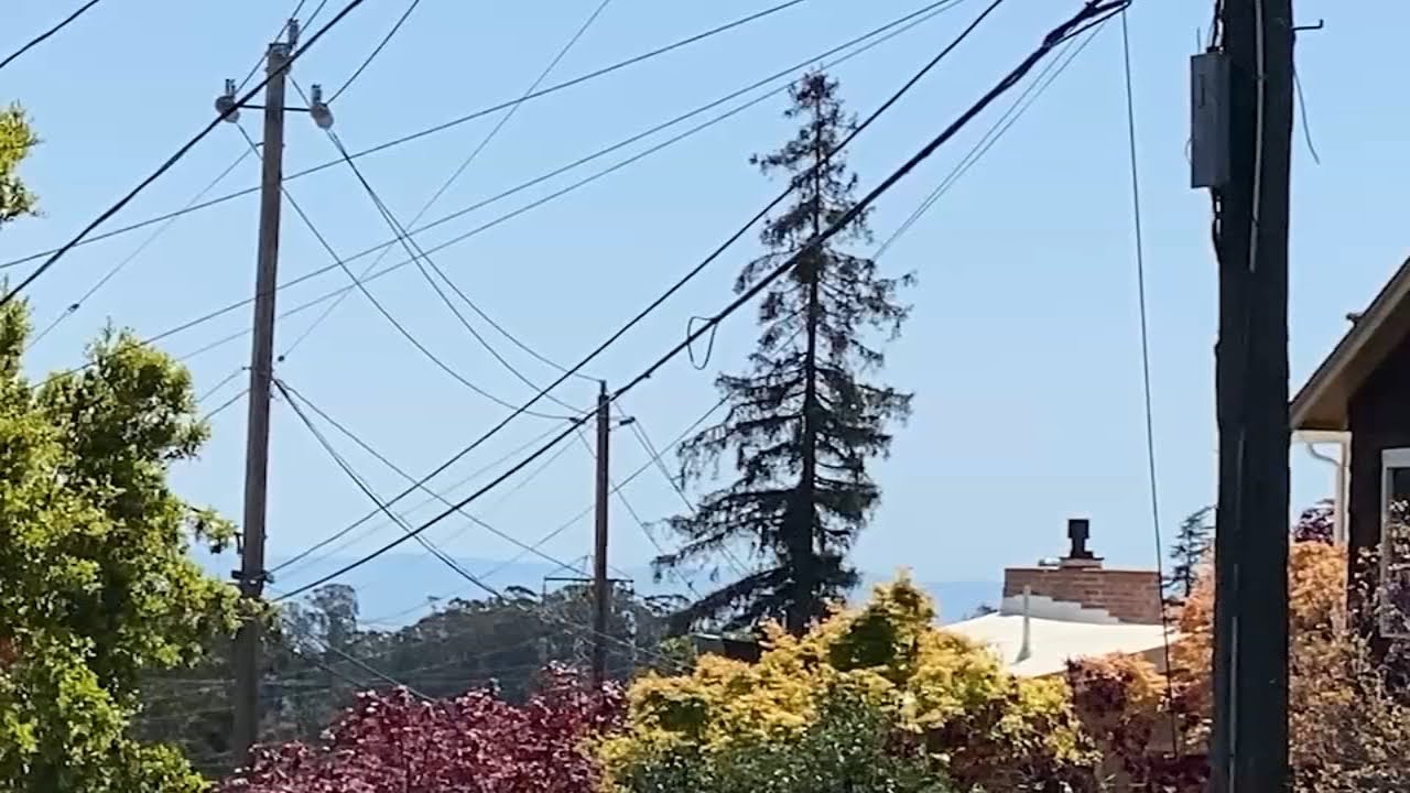 Bay Area Neighborhood ‘takes Exception’ To Pg&e Not Undergrounding Powerlines With Fire Risk