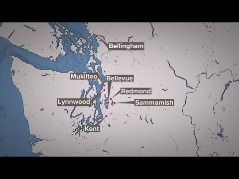 bellingham burglary suspects tar