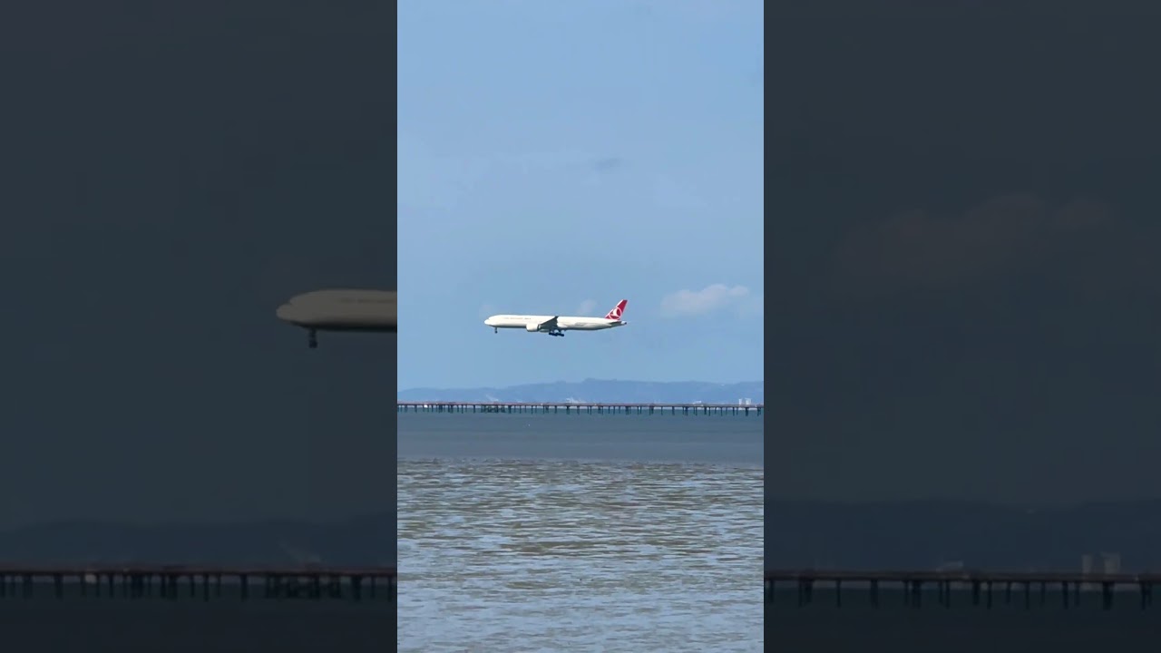 Boeing 777 Of Turkish Airways Landing At San Francisco International Airport￼