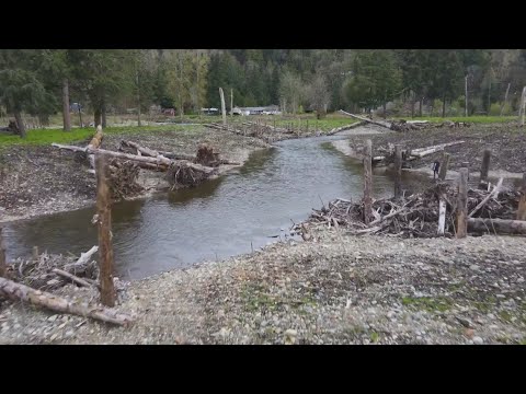 Cedar River Restoration Project Reduces Flood Risk, Improves Salmon Habitat
