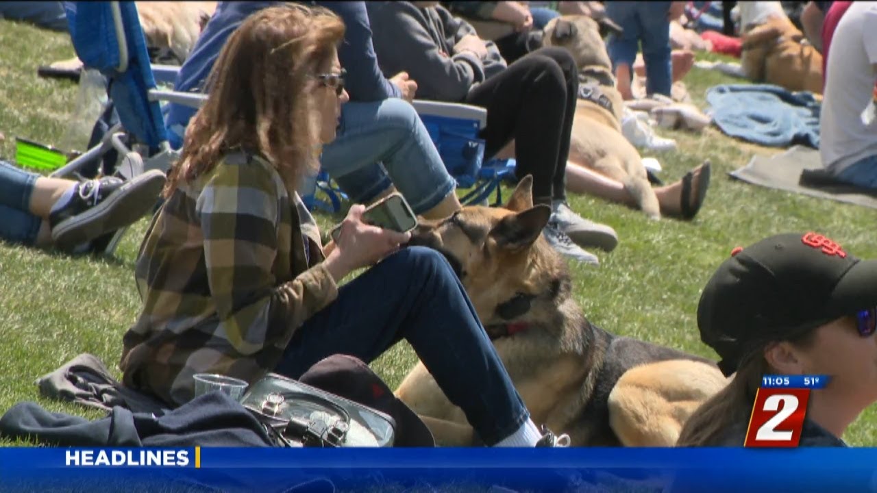 Dog Days Return To Greater Nevada Field