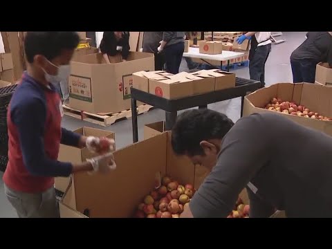 food insecurity in the bay area