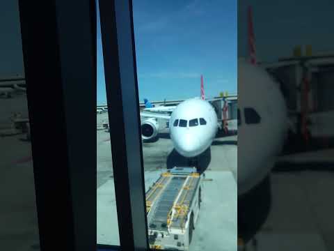 Goodbye Great America – San Francisco International Airport – Sfo